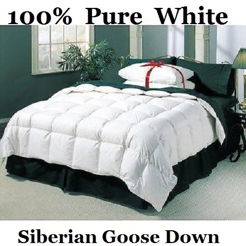 100 pure siberian - goose, down